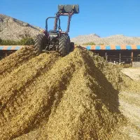 نوبت‌برای‌آذرماه فروش‌کودحیوانی گاوداری صنعتی‌الشت|خدمات باغبانی و درختکاری|الشتر, |دیوار