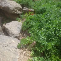 آموزشکوهنوردی و دره وگردش