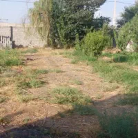 زمین مسکونی روستای زاغه ۶۰۰متر