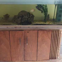 آکواریوم با میز و ماهی ومتعلقات