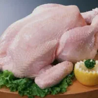 همکار مرغ فروشی فروشندگی