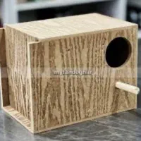 لونه طوطی های مختلف