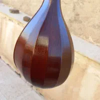 سه تار حرفه ای تاک|سازهای سنتی|تهران, علم و صنعت|دیوار