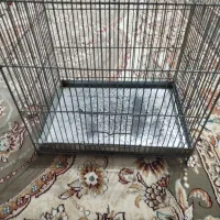 قفس غلامی سالم بدون شکستگی