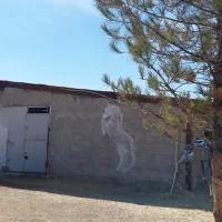 پانسیون اسب|اسب و تجهیزات اسبسواری|سیاخ دارنگون, |دیوار