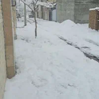 سه-دانگی-همکف-مدافعان-شهرک-توحید