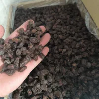 مویز|خوردنی و آشامیدنی|ری, ملک‌آباد|دیوار