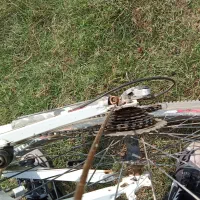 دوچرخه 24|دوچرخه، اسکیت، اسکوتر|صومای برادوست, |دیوار