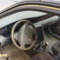 سورن خانگی و بسیار سالم