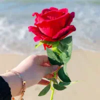 رحم اجاره ای