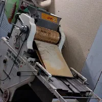 دستگاه المانی زن