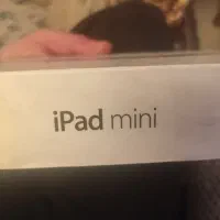 Ipad mini