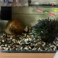 اکواریوم با لوازم فایتر