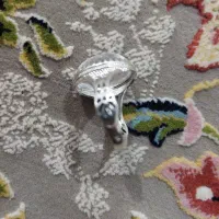 دور نجف اصل کربلا|جواهرات|کرمان, |دیوار