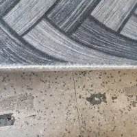 ۹ متر موکت طوسی|موکت|تهران, اتابک|دیوار