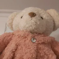 خرس عروسکی|اسباب‌‌بازی|تهران, بهار|دیوار