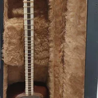 تار با مهر محمدی