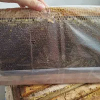 عسل سبلان درجه یک اعلا وخاص|خوردنی و آشامیدنی|چمستان, |دیوار