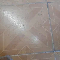 فرش ۶ متری