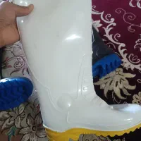 چکمه کار|کیف، کفش، کمربند|خان ببین, |دیوار