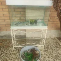 آکواریوم شیشه خم