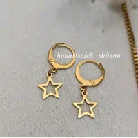یک جفت گوشوار طلا پیداشده