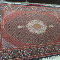 فرش ماشینی|فرش|میاندوآب, |دیوار