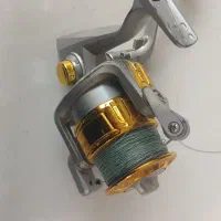 لنسر چرخ ماهیگری