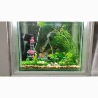 آکواریوم سالم / و دو عدد قفس سالم|ماهی|فومن, |دیوار