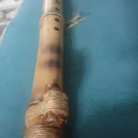 سازلاکوتا سرخپوستی
