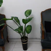 درختچه مصنوعی|گل مصنوعی|کرج, کمال‌شهر|دیوار