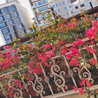 نیرو خدماتی