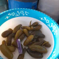 خیارشور چرخی