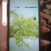 گوشی a10sکارکرده سالم 220000هزار