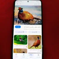 گوشی شیائومی Redmi Note12s