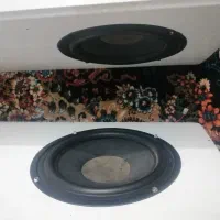 اسپیکر  اونیکس