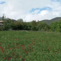 حراج واقعی اردبیل نمین میرزانق|حراج|اردبیل, |دیوار