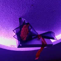 دسته گل رز جاودان