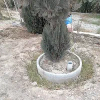 کول چاه کلر کبر