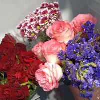 رز موجود کردیم|گل و گیاه طبیعی|سبزوار, فرهنگیان|دیوار