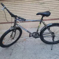 اساک دماوند اصلی فنی کاملا سالم زین شده برای سواری