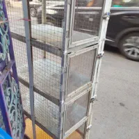 قفس مرغ و جفت کن کبوتر