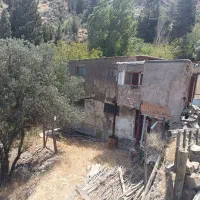 زمین زراعی با بنای احداثی (ساختمان گاوداری )|فروش خانه و ویلا|رودبار, |دیوار