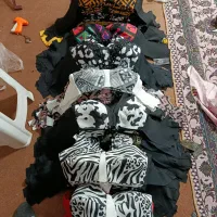 به تعدادی چرخکار نیازمندیم