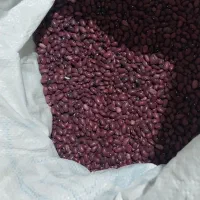 لوبیا قرمز درجه ۱|خوردنی و آشامیدنی|پشتکوه (فارس), |دیوار