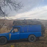 خرید انواع چوب و درخت