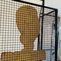 رگال و دکور مغازه|فروشگاه و مغازه|نیشابور, پاستور|دیوار