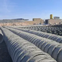 کول‌بیضی‌وگرد‌