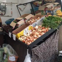 پالت میوه|فروشگاه و مغازه|تهران, شهرک ولیعصر شمالی|دیوار