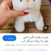 فروش340 یک عدد گربه باطری خور و انواع عروسک|اسباببازی بچه|میبد, |دیوار